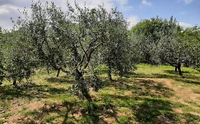 La Casetta Di Bianca